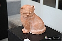 VBS_7773 - Mostra della Ceramica di Castellamonte 2021